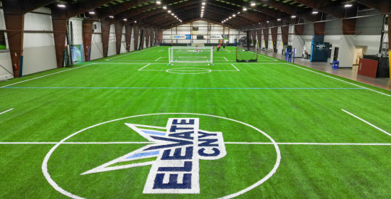 Full turf logo